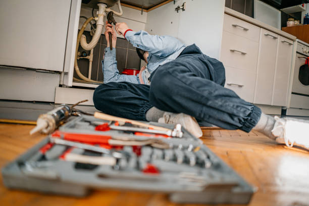 Best Water Softener Installation  in Bayou La Batre, AL