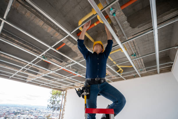 Best Plumbing Inspection Services  in Bayou La Batre, AL